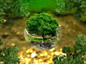 Green Management e sostenibilità aziendale